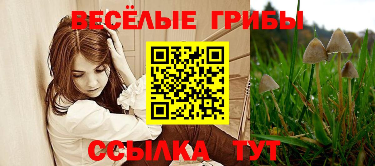 Галлюциногенные грибы Psilocybine cubensis  Галлюциногенные грибы мухоморы  Гусиноозёрск  Вход с VPN 